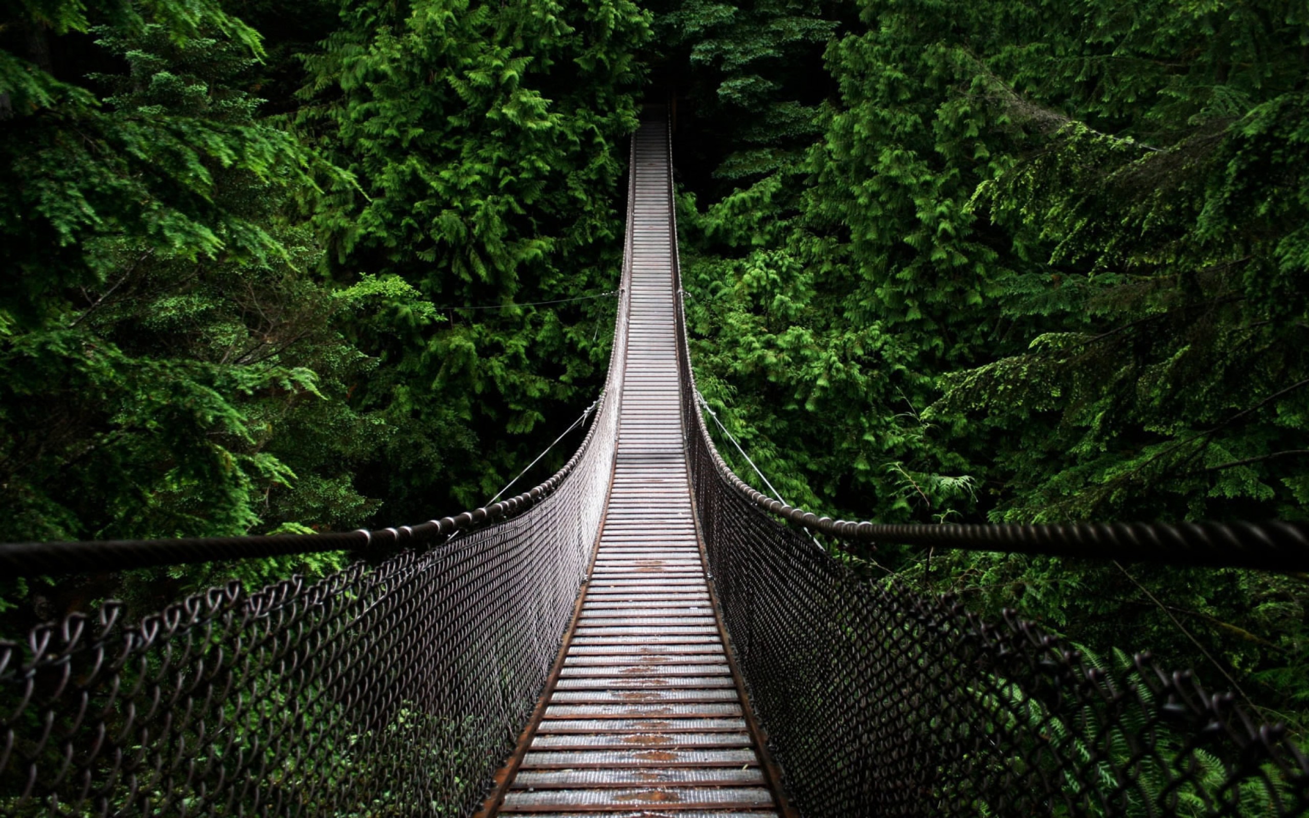 puente del aprendizaje